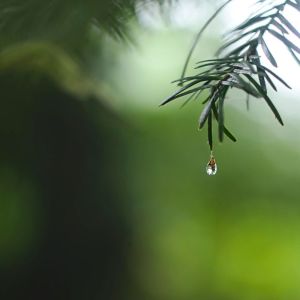 收聽Yoga的Hypnosis歌詞歌曲
