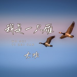 Album 我是一只雁 from 大欢