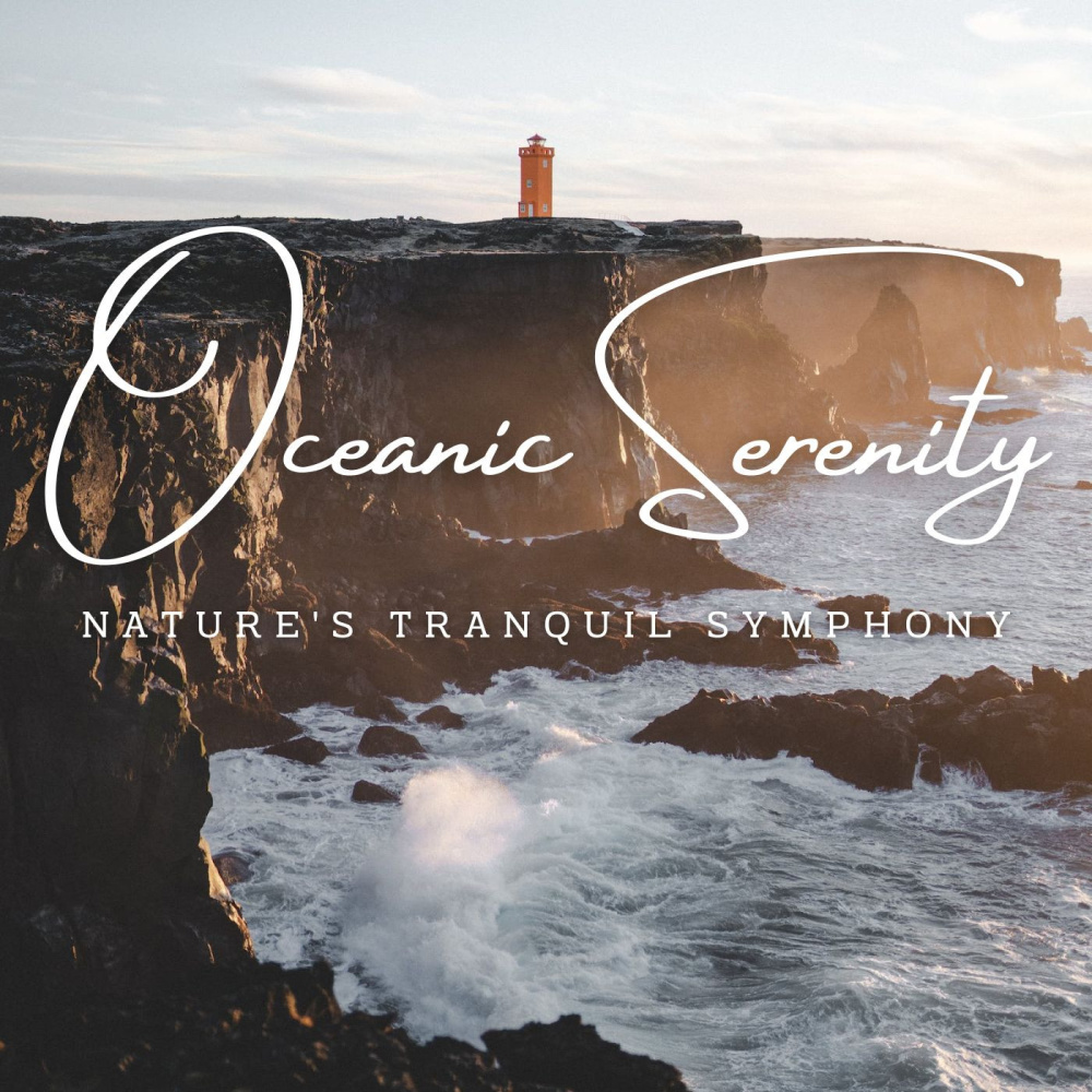 Seagulls' Serenade by the Ocean