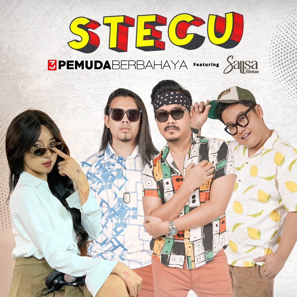 Stecu