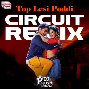 Album Topu Lesi Poddi Circuit Remix (From "Idharammayilatho") from Geetha Madhuri