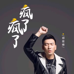 Album 疯了疯了(DJ小品版) from 