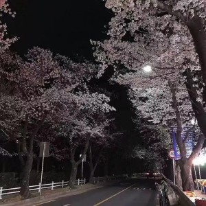 Dengarkan lagu 罕见硬曲 nyanyian 叶凡 dengan lirik