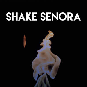 Listen to Shake Senora song with lyrics from Miami Beatz