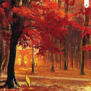 Dengarkan Festival lagu dari Lumini dengan lirik