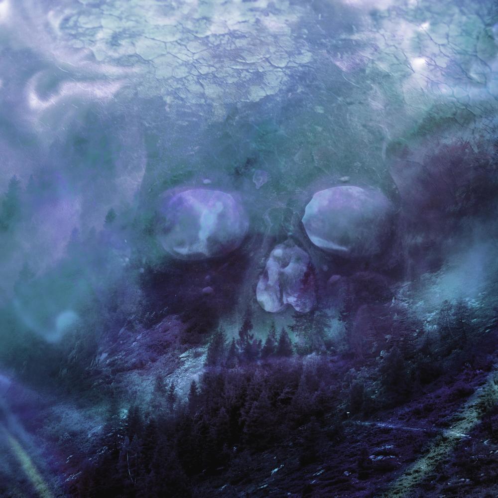 Amethyst Bones