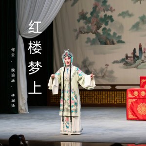 何云的专辑红楼梦上 (黄梅戏)