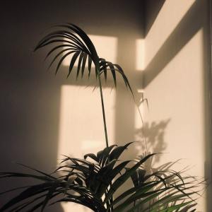 收听Relaxing Spa Music的Study Music歌词歌曲