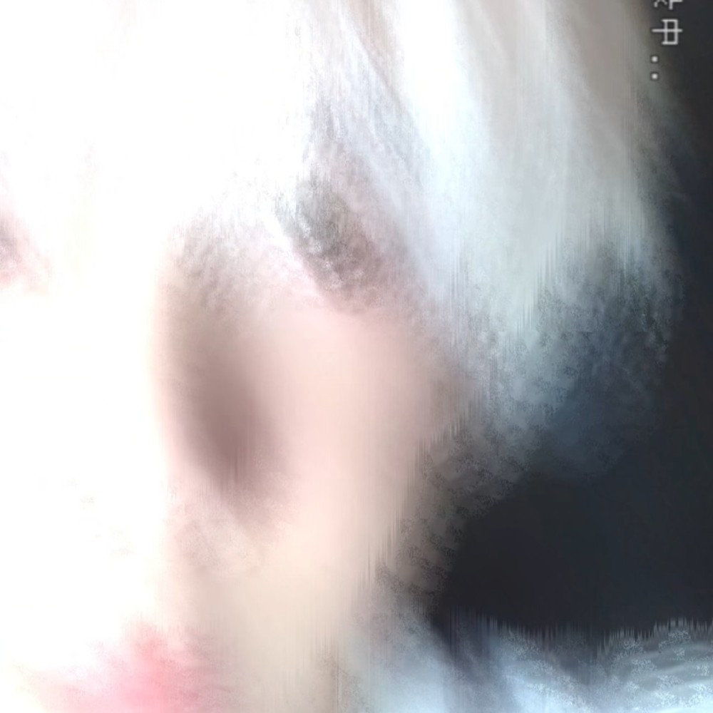大毅DY