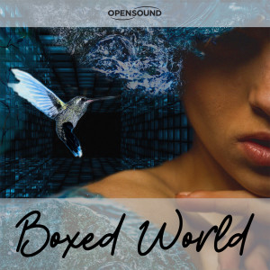 อัลบัม Boxed World (Music for Movie) ศิลปิน Raffaella Capogna