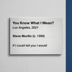 Steve Murillo的專輯You Know What I Mean?