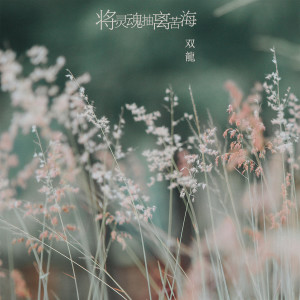 Album 将灵魂抽离苦海 from 双龙