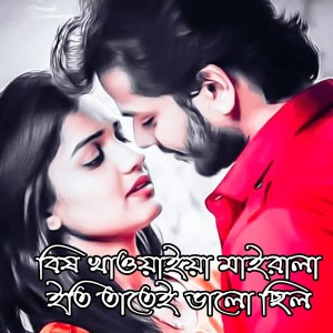 Album বিষ খাওয়াইয়া মাইরালা ইতি তাতেই ভালো ছিল from Saddam Chowdhury