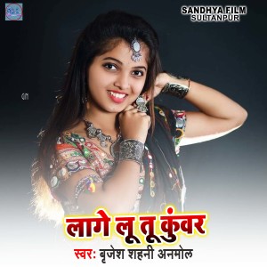 收听Brijesh Shahni Anmol的Lage Lu Tu Kuwar歌词歌曲