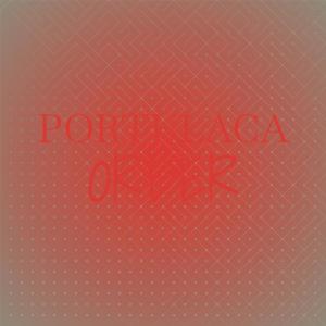 收聽Caca Gires的Adore Whosever歌詞歌曲