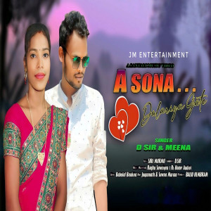 Album A Sona Dulariya Gate oleh Meena