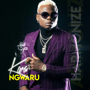 Listen to Shulala song with lyrics from Harmonize
