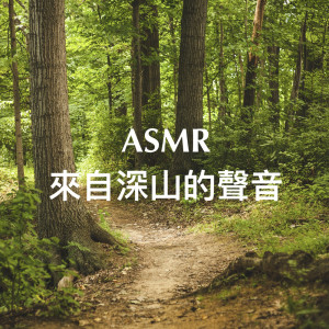 瑜珈精選音樂的專輯ASMR：來自深山的聲音