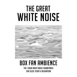 ดาวน์โหลดและฟังเพลง Box Fan Ambience: The 1 Hour White Noise Soundtrack for Sleep, Study & Relaxation พร้อมเนื้อเพลงจาก The Great White Noise