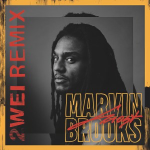 Listen to Ghost (2WEI Remix) song with lyrics from Marvin Brooks