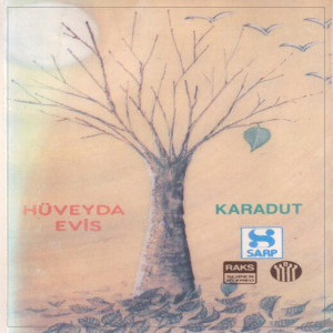 Listen to Hani Benim Gençliğim song with lyrics from Hüveyda Evis
