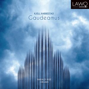ดาวน์โหลดและฟังเพลง Orgelsuite, Op. 22b: IV. Sofar พร้อมเนื้อเพลงจาก Harald Rise