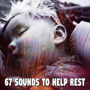 ดาวน์โหลดและฟังเพลง Pure Lullaby พร้อมเนื้อเพลงจาก Nature Sounds Nature Music