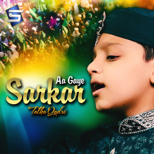Album Sarkar Aa Gaye oleh Talha Qadri