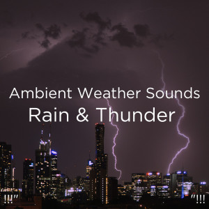 Album !!!" Ambient Weather Sounds Rain & Thunder  "!!! from Sounds Of Nature : Thunderstorm, Rain