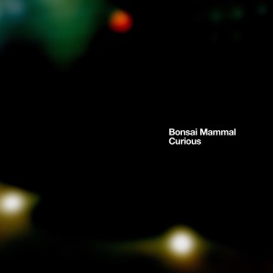 Bonsai Mammal的專輯Curious