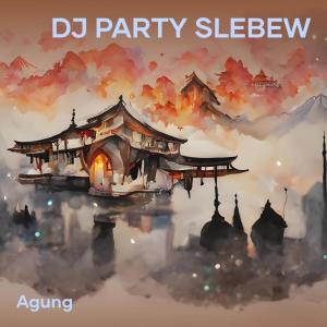 Agung的专辑Dj Party Slebew