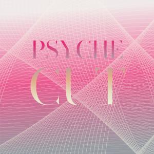 อัลบัม Psyche Cut ศิลปิน Various