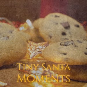 Listen to I Wish It Could Be Christmas Everyday song with lyrics from Roy Wood