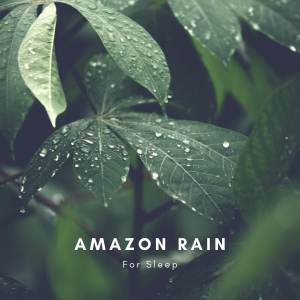 Natural Sounds Selections的專輯Amazon Rain for Sleep