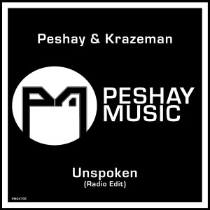收聽Peshay的Unspoken (Radio Edit)歌詞歌曲
