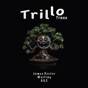 ดาวน์โหลดและฟังเพลง Waiting พร้อมเนื้อเพลงจาก James Dexter