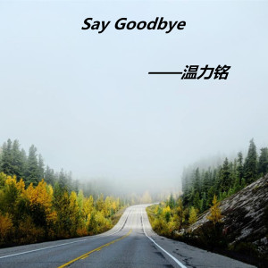 ดาวน์โหลดและฟังเพลง Say Goodbye พร้อมเนื้อเพลงจาก 温力铭