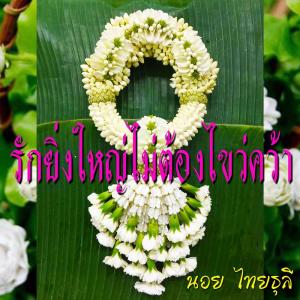 收聽นอย ไทยธุลี的รักยิ่งใหญ่ไม่ต้องไขว่คว้า歌詞歌曲