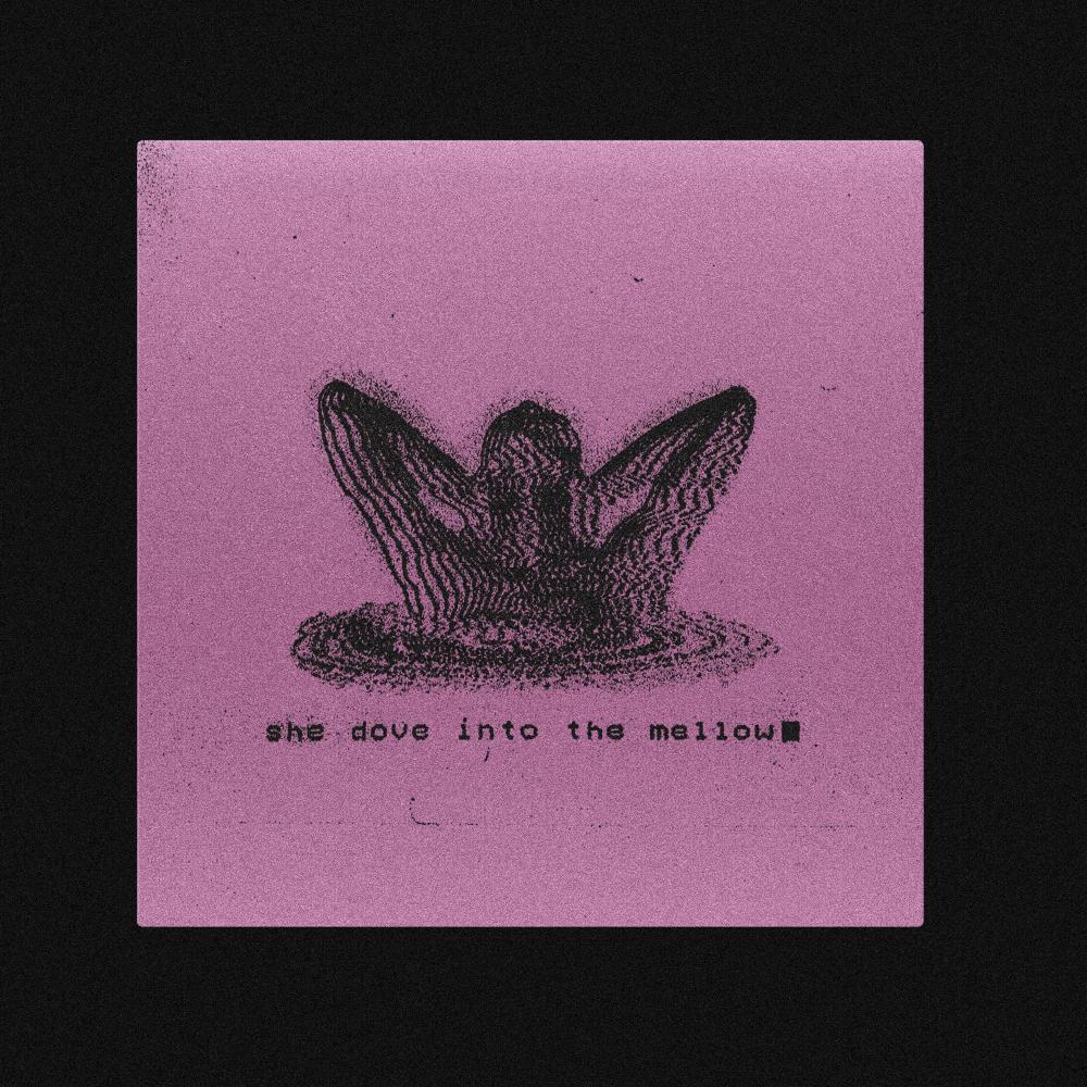 She Dove Into The Mellow