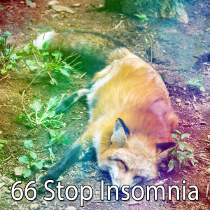 Listen to Harmonious Bedroom song with lyrics from Spa Music Paradise