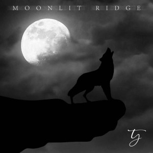 Listen to Moonlit Ridge song with lyrics from TJ Gabet