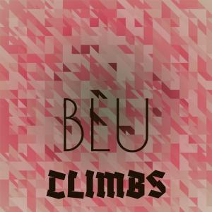 Various的专辑Blu Climbs