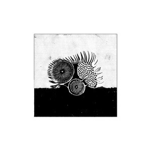 Album We Don't Exist from Mule Driver