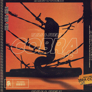 Listen to Cobra song with lyrics from Tails