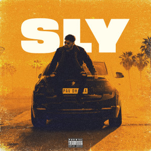 Album Sly (Explicit) from Pav Dharia