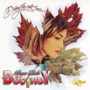 Various Artists的專輯Đường Xa Ướt Mưa - Nhạc Tình Đức Huy 1