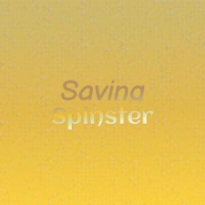 Various Artists的專輯Saving Spinster