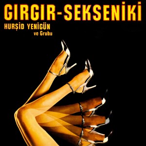 收聽Hursid Yenigun Ve Grubu的Sus Sus Sus-Bir Gece Ansızın Gelebilirim歌詞歌曲