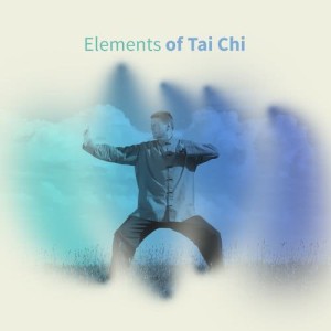 Tai Chi And Qigong的專輯Elements of Tai Chi