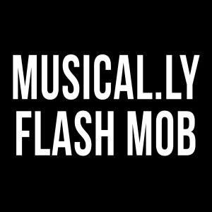 Listen to Musical.Ly Flash Mob song with lyrics from Matt Slays